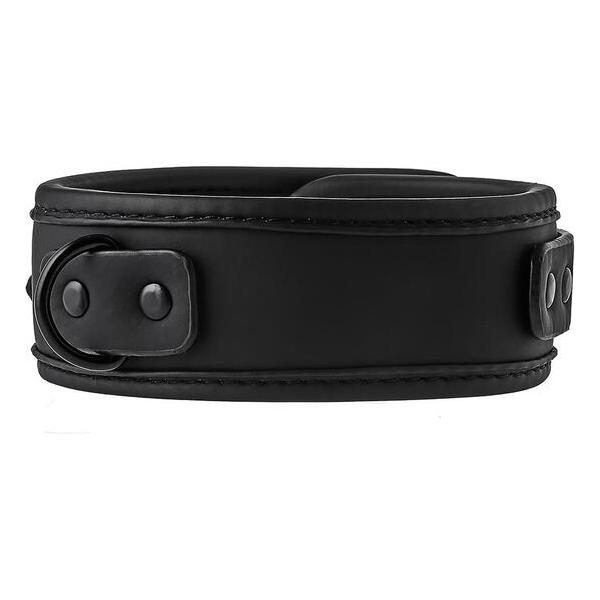 BLAZE COLLAR AND LEASH BLACK - imagen 2